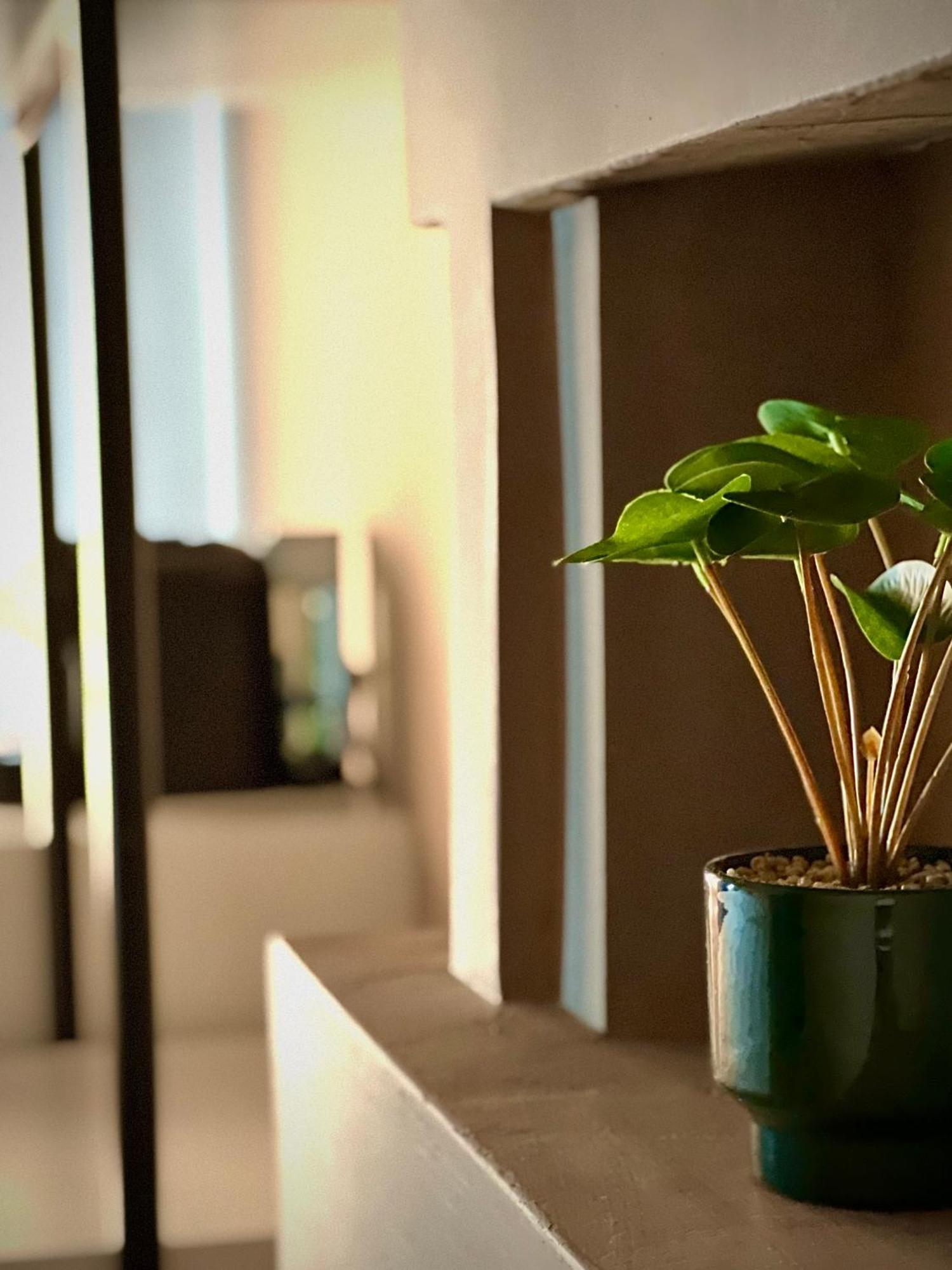 Rex Hotel Boutique Tiranë Ngoại thất bức ảnh